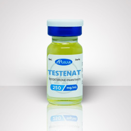 Testosterone Enanthate 250mg/mL | Apoxar