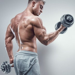 Beginner Bulking Cycle