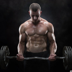 Lean Muscle Steroid Cycle