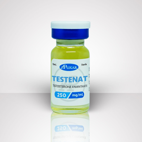 Testosterone Enanthate 250mg/mL | Apoxar