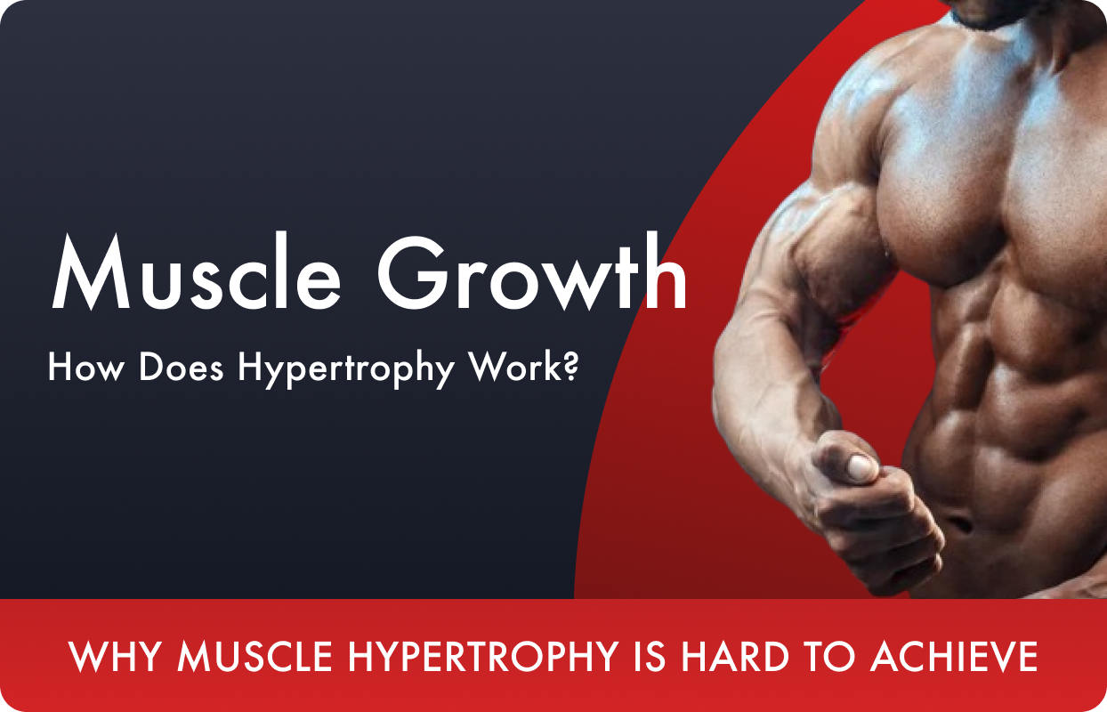 How Do Muscles Actually Grow? In-depth Explanation
